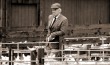 Lairg sheep sale 6