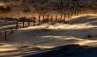 Snow fence